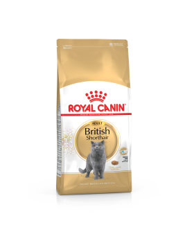 ROYAL CANIN BRITISH SHORTHAIR ADULT сухий корм для британськиx короткошерстих котів