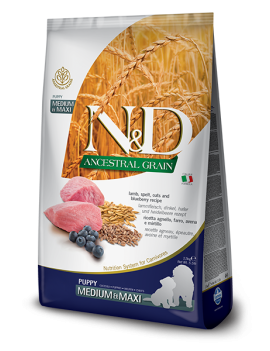 Сухий корм Farmina (Фарміна) N & D Low Grain Dog Lamb & Blueberry Puppy Medium & Maxi для цуценят середніх і великих порід з ягням