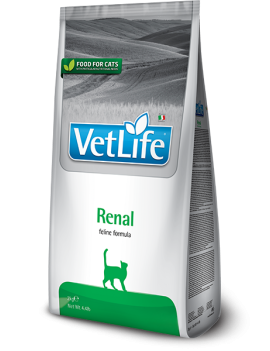 Сухий лікувальний корм для котів Farmina Vet Life Renal для підтримки функції нирок