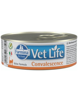 Farmina Vet Life Convalescence вологий корм для кішок при лікуванні шлунково-кишкового тракту після хірургічних втручань
