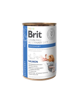 Вологий корм Brit GF VetDiet Recovery для собак та котів, в період одужання, з лососем