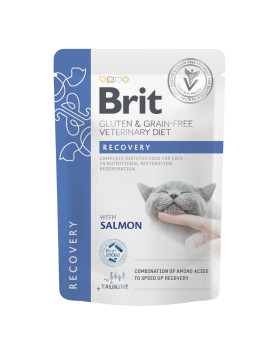 Корм вологий Brit GF VD Recovery для котів з лососем