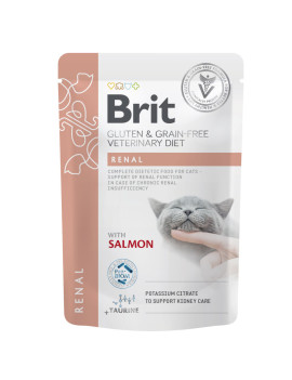 Корм вологий Brit GF VD Renal для котів з лососем