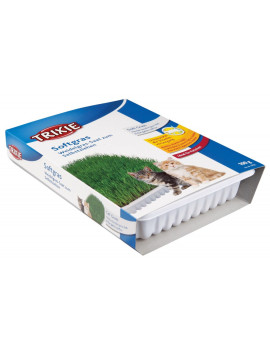 Трава Trixie Soft Grass для котів та кошенят контейнер пластик 100 гр