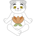 Корекція поведінки